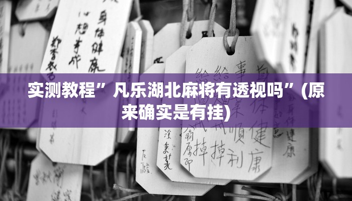 实测教程”凡乐湖北麻将有透视吗”(原来确实是有挂)