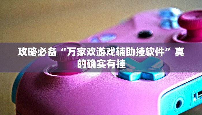攻略必备“内蒙古麻将究竟有没有透视”(原来确实是有挂)