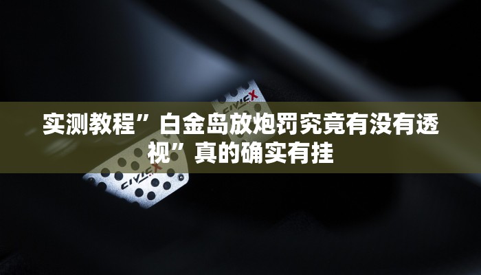实测教程”白金岛放炮罚究竟有没有透视”真的确实有挂