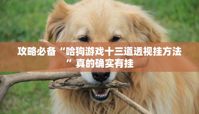 攻略必备“哈狗游戏十三道透视挂方法”真的确实有挂