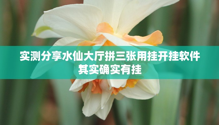 实测分享水仙大厅拼三张用挂开挂软件”
其实确实有挂
