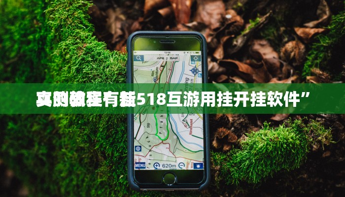 实测教程”新518互游用挂开挂软件”
真的确实有挂