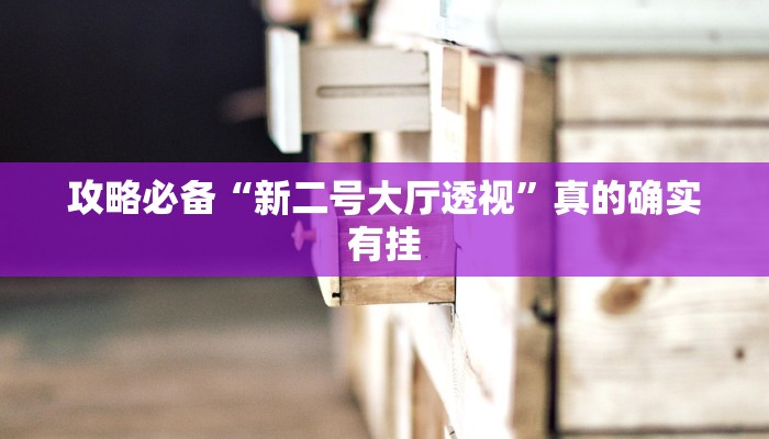 攻略必备“新二号大厅透视”真的确实有挂