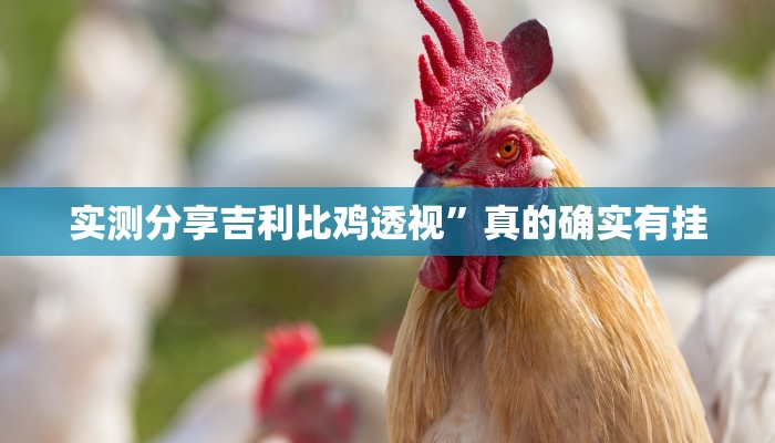 实测分享吉利比鸡透视”真的确实有挂