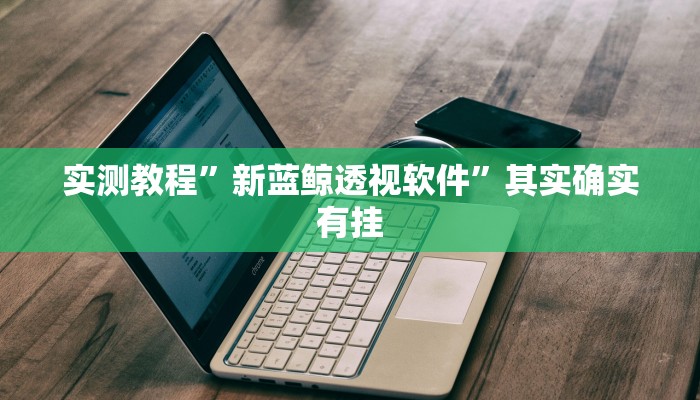 实测教程”新蓝鲸透视软件”其实确实有挂
