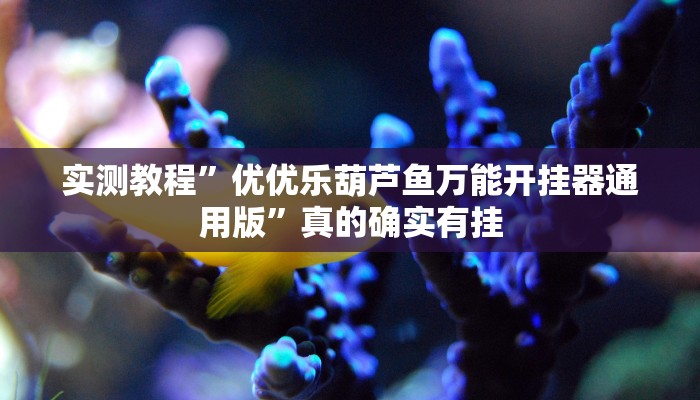 攻略必备“紫金互娱辅助挂软件”真的确实有挂