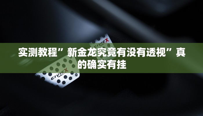 实测教程”新金龙究竟有没有透视”真的确实有挂
