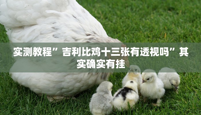 实测教程”吉利比鸡十三张有透视吗”其实确实有挂
