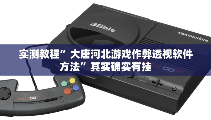 实测教程”大唐河北游戏作弊透视软件方法”其实确实有挂
