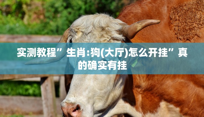 实测教程”生肖:狗(大厅)怎么开挂”真的确实有挂