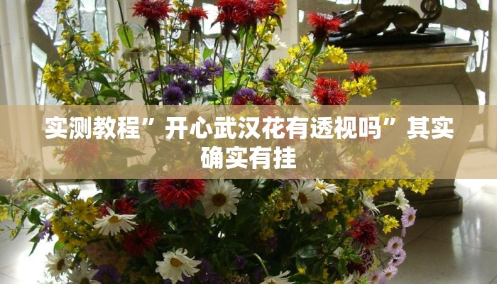 实测教程”开心武汉花有透视吗”其实确实有挂
