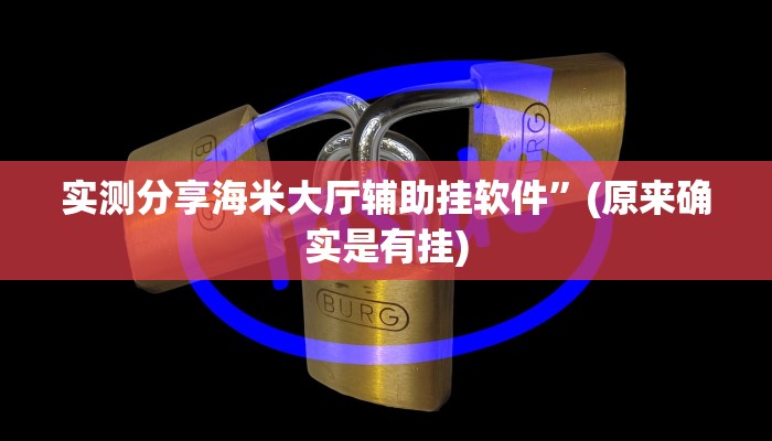 实测分享海米大厅辅助挂软件”(原来确实是有挂)