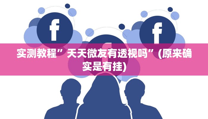 实测教程”天天微友有透视吗”(原来确实是有挂)
