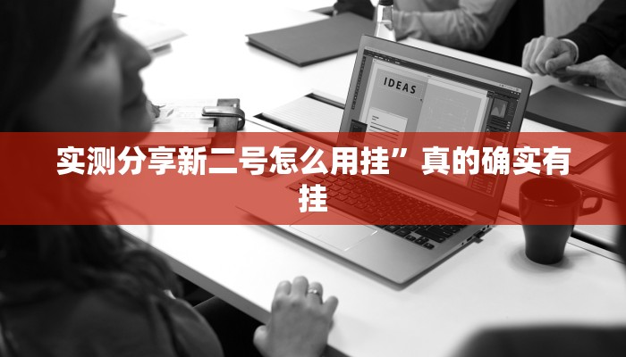 实测分享新二号怎么用挂”真的确实有挂