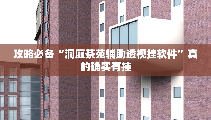 攻略必备“洞庭茶苑辅助透视挂软件”真的确实有挂