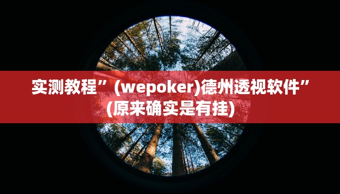 实测教程”(wepoker)德州透视软件”(原来确实是有挂)