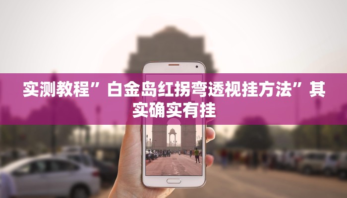 实测教程”白金岛红拐弯透视挂方法”其实确实有挂
