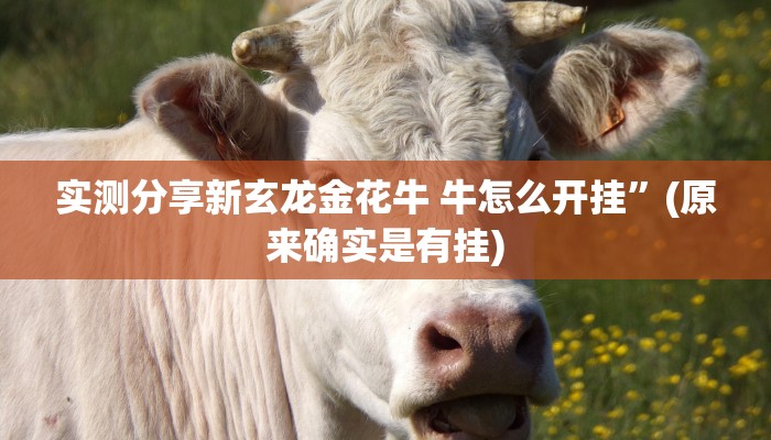 实测教程”乐酷副厅拼三张可以开挂吗”真的确实有挂
