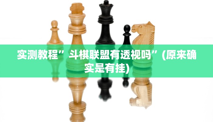 实测教程”斗棋联盟有透视吗”(原来确实是有挂)