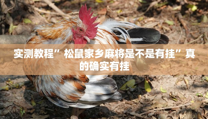 实测教程”松鼠家乡麻将是不是有挂”真的确实有挂