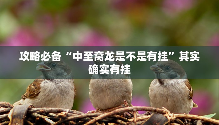 攻略必备“中至窝龙是不是有挂”其实确实有挂
