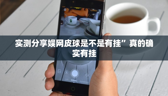 攻略必备“新创游用挂开挂软件”
其实确实有挂
