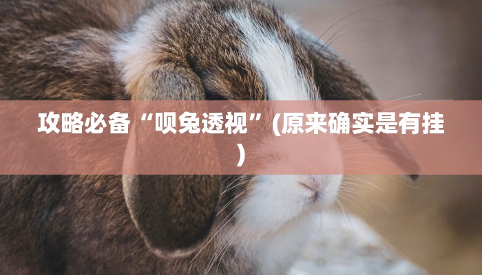 攻略必备“呗兔透视”(原来确实是有挂)