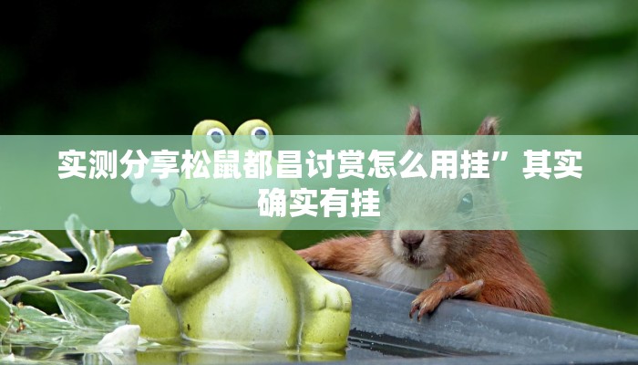 实测分享松鼠都昌讨赏怎么用挂”其实确实有挂
