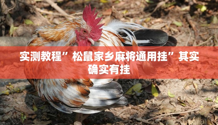 实测教程”松鼠家乡麻将通用挂”其实确实有挂
