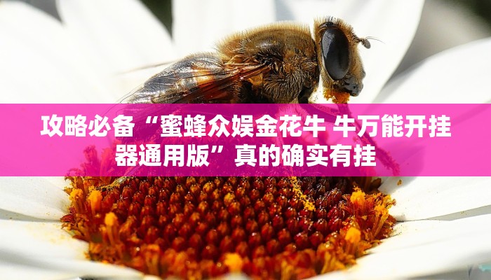攻略必备“皇豪互众拼三张辅助开挂”(原来确实是有挂)