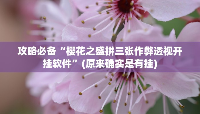 攻略必备“来旺十三水辅助透视挂软件”其实确实有挂
