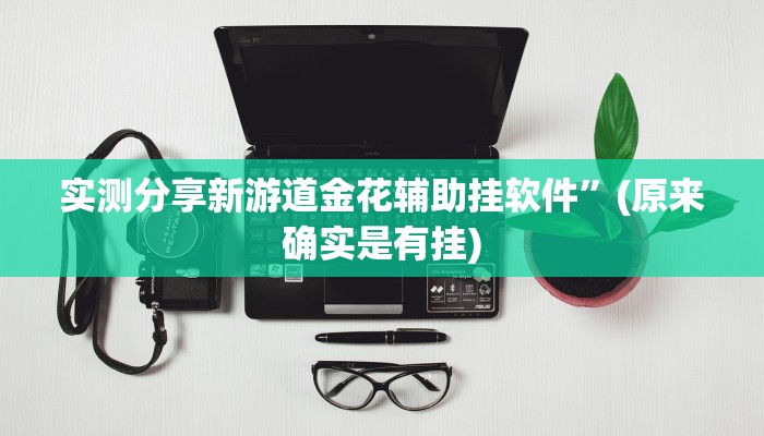 实测分享新游道金花辅助挂软件”(原来确实是有挂)