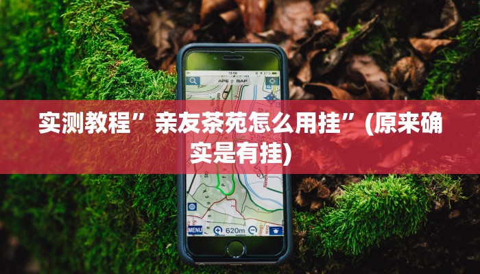 实测教程”亲友茶苑怎么用挂”(原来确实是有挂)