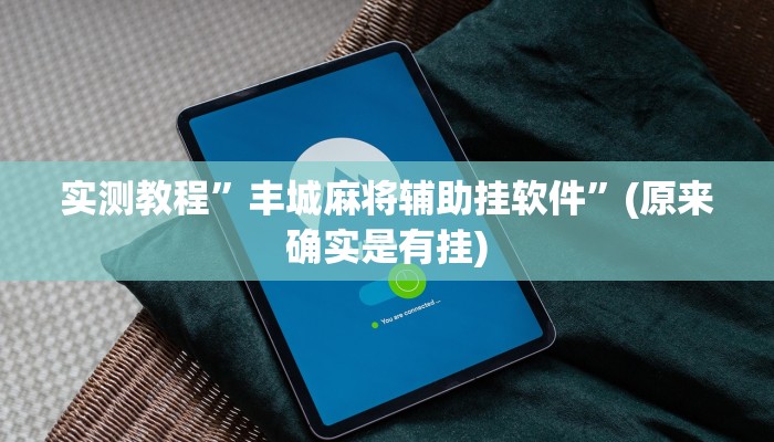 实测教程”丰城麻将辅助挂软件”(原来确实是有挂)