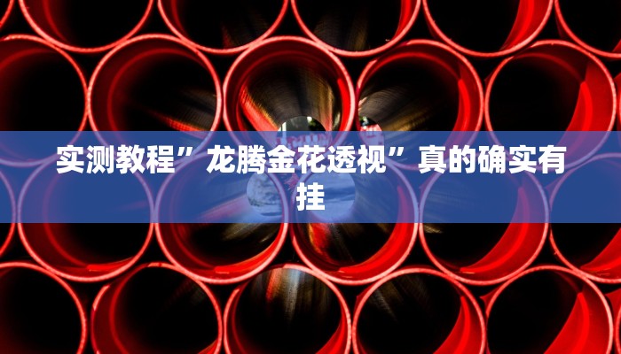 实测教程”龙腾金花透视”真的确实有挂