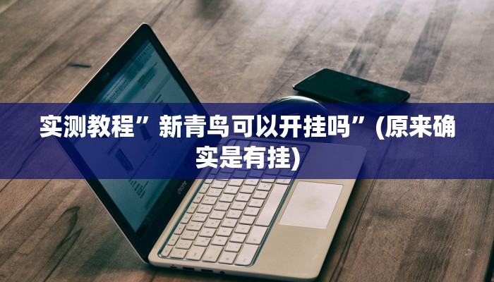 实测教程”新青鸟可以开挂吗”(原来确实是有挂)