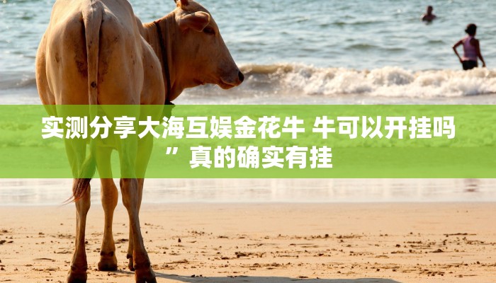 攻略必备“天海娱乐万能开挂器通用版”其实确实有挂
