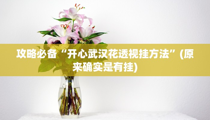 攻略必备“开心武汉花透视挂方法”(原来确实是有挂)