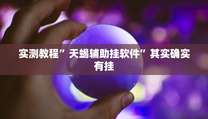 实测教程”天蝎辅助挂软件”其实确实有挂
