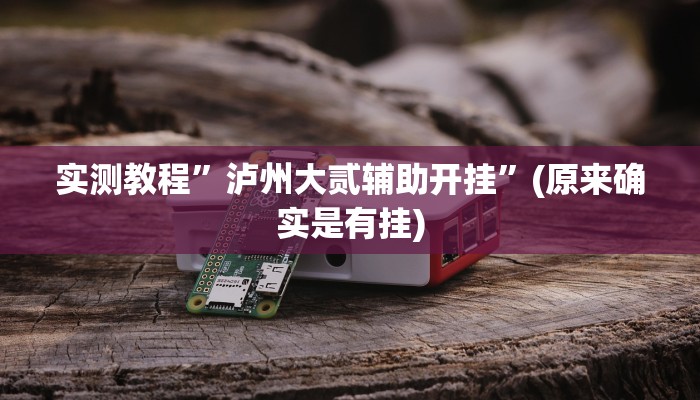 实测教程”泸州大贰辅助开挂”(原来确实是有挂)