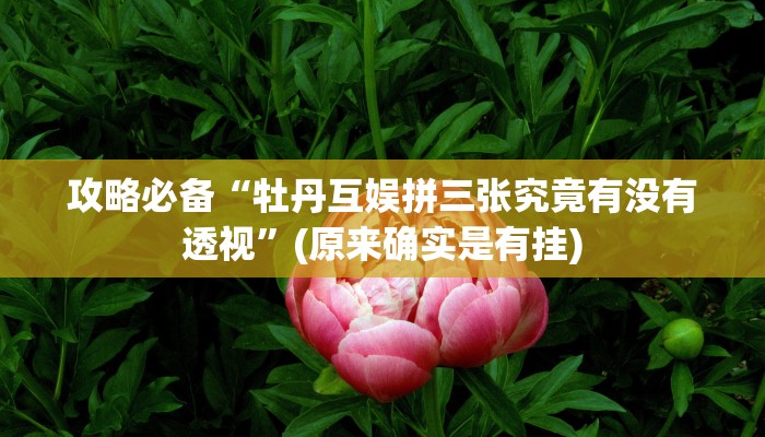 攻略必备“悟空大厅透视挂方法”(原来确实是有挂)