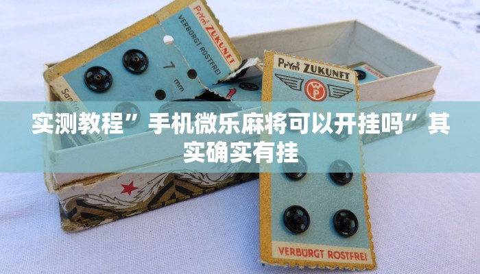 实测教程”悠悠系列助赢神器”(原来确实是有挂)