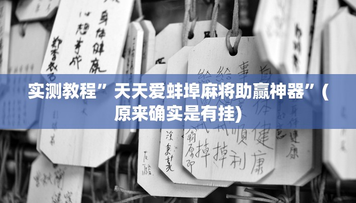 实测教程”天天爱蚌埠麻将助赢神器”(原来确实是有挂)