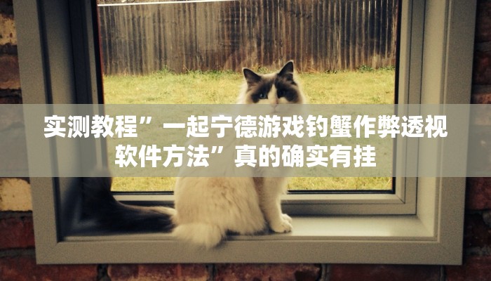 实测教程”一起宁德游戏钓蟹作弊透视软件方法”真的确实有挂