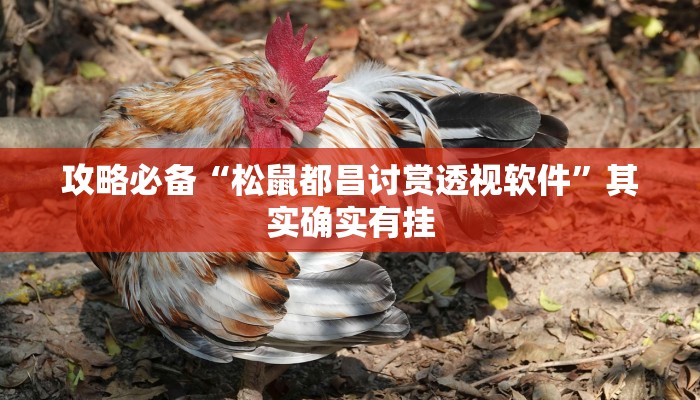攻略必备“松鼠都昌讨赏透视软件”其实确实有挂
