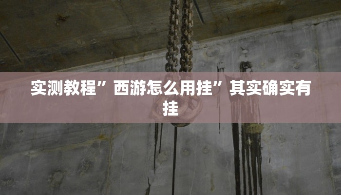实测教程”西游怎么用挂”其实确实有挂
