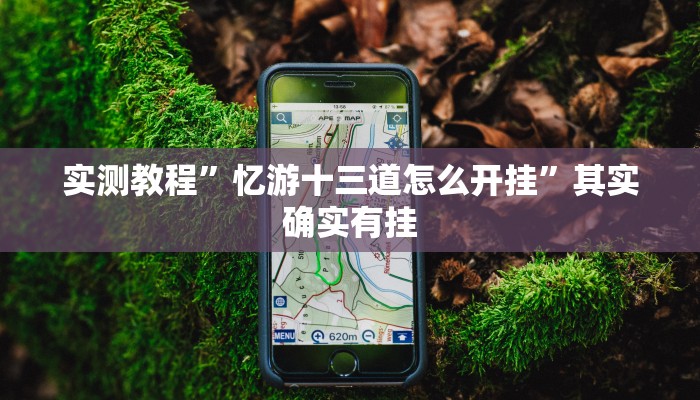 实测教程”忆游十三道怎么开挂”其实确实有挂
