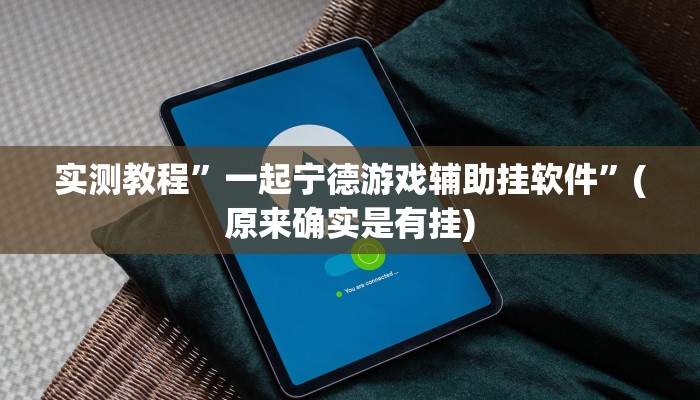 实测教程”一起宁德游戏辅助挂软件”(原来确实是有挂)