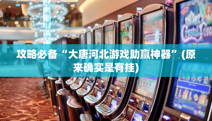 攻略必备“大唐河北游戏助赢神器”(原来确实是有挂)