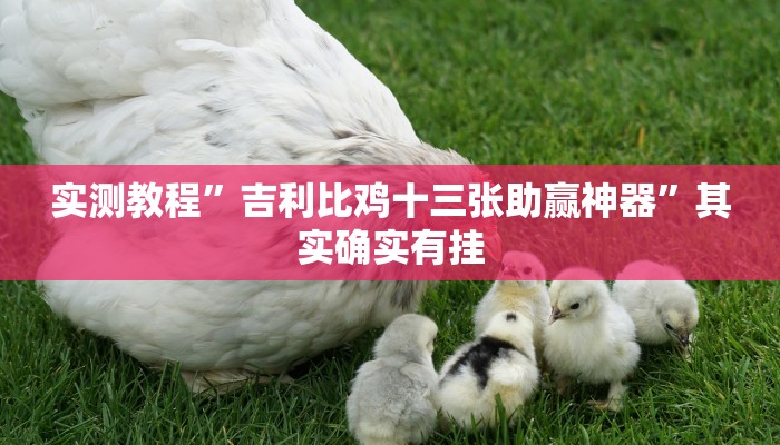 攻略必备“蜜蜂众娱用挂开挂软件”
(原来确实是有挂)